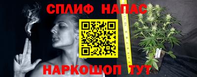 ГАЛЛЮЦИНОГЕННЫЕ ГРИБЫ Краснознаменск