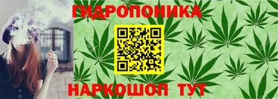 ГАЛЛЮЦИНОГЕННЫЕ ГРИБЫ Краснознаменск