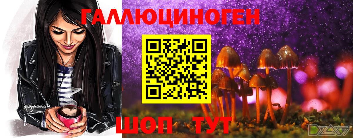 Галлюциногенные грибы прущие грибы  Псилоцибиновые грибы Magic Shrooms  Киселёвск  Вход с VPN 